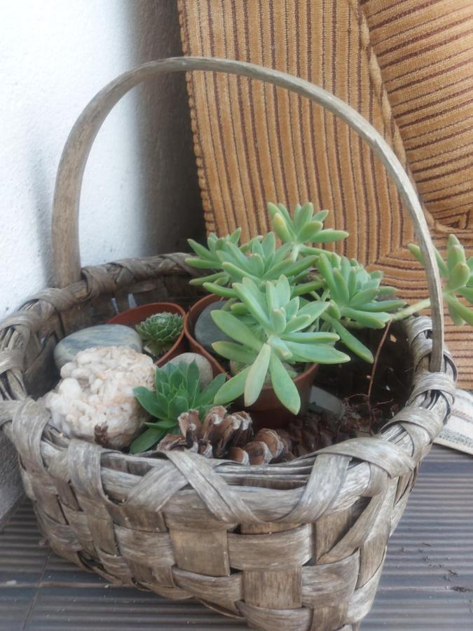 Farm stay D. Mariantonia Complexo Turistico Braganca