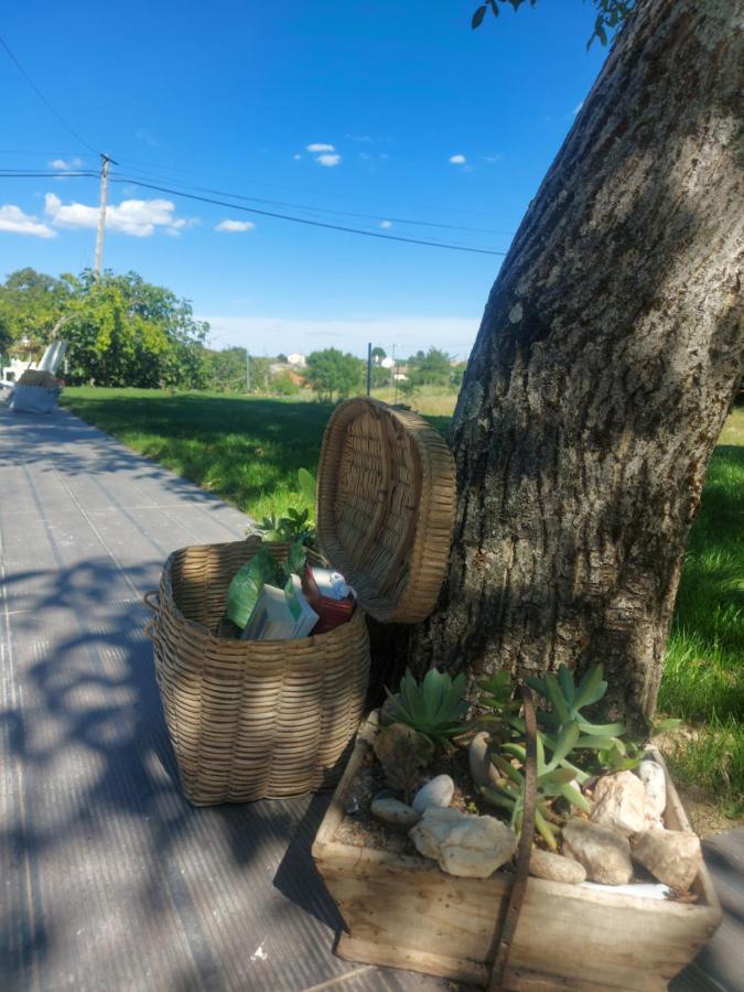 D. Mariantonia Complexo Turistico Farm stay Braganca